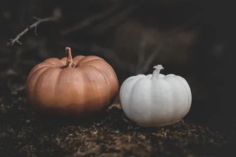 Candle in the shape of a pumpkin on a background Stock Photos