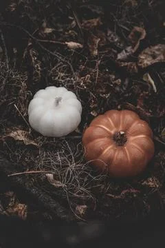Candle in the shape of a pumpkin on a background Stock Photos