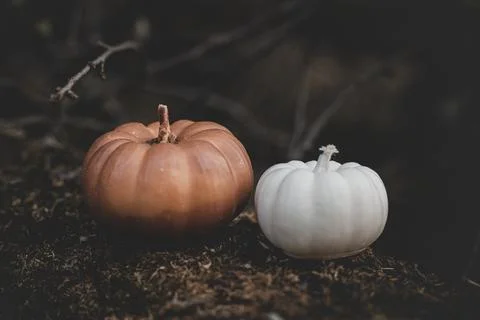Candle in the shape of a pumpkin on a background Stock Photos