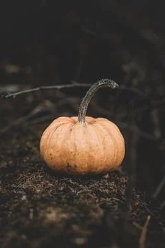 Candle in the shape of a pumpkin on a background Stock Photos