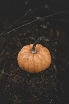 Candle in the shape of a pumpkin on a background Stock Photos