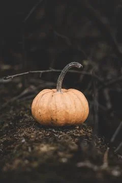 Candle in the shape of a pumpkin on a background Stock Photos