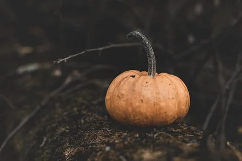 Candle in the shape of a pumpkin on a background Stock Photos