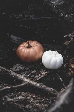 Candle in the shape of a pumpkin on a background Stock Photos