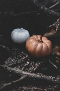 Candle in the shape of a pumpkin on a background Stock Photos