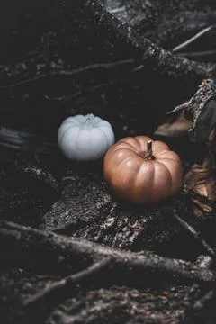 Candle in the shape of a pumpkin on a background Stock Photos