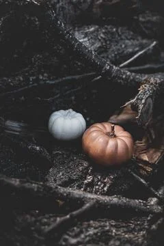 Candle in the shape of a pumpkin on a background Stock Photos
