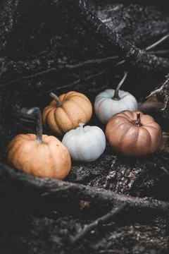 Candle in the shape of a pumpkin on a background Stock Photos