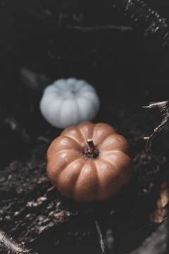 Candle in the shape of a pumpkin on a background Stock Photos