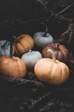 Candle in the shape of a pumpkin on a background Stock Photos