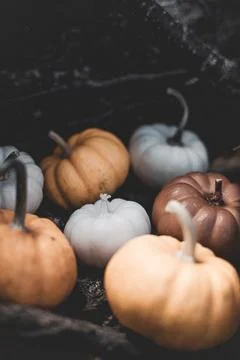 Candle in the shape of a pumpkin on a background Stock Photos