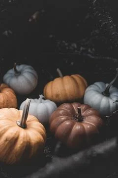 Candle in the shape of a pumpkin on a background Stock Photos