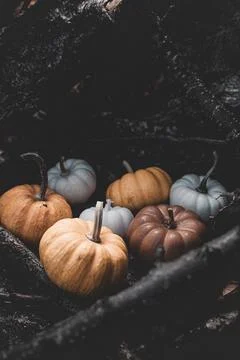 Candle in the shape of a pumpkin on a background Stock Photos