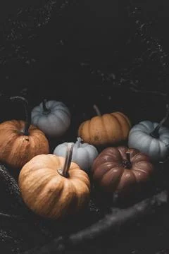 Candle in the shape of a pumpkin on a background Stock Photos