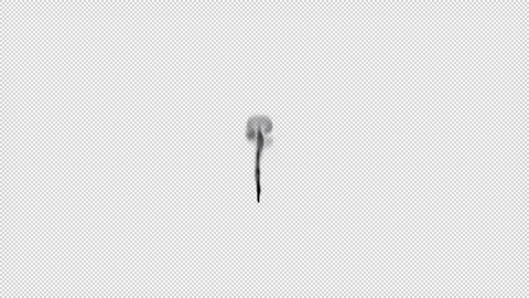 Candle Smoke Stock Footage 166567323