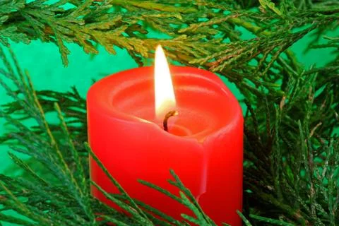 Candle in a tree Stock Photos