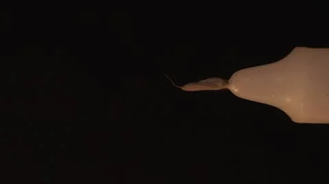 Candle, vertical. Video stock 8966492