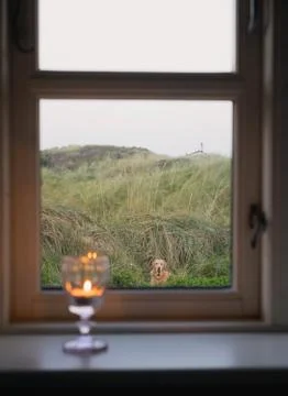 Candle in a window Stock Photos