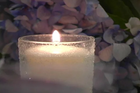 Candle2 Bridal Party Table Video stock 65766