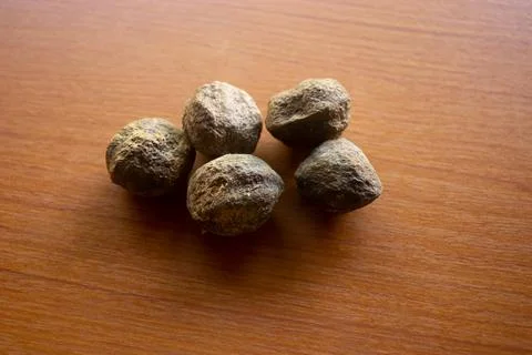 Candleberry tree placed on the table is brown Stock Photos
