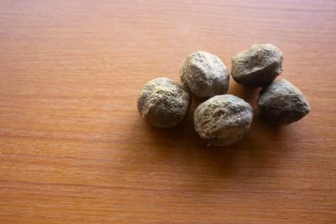Candleberry tree placed on the table is brown Stock Photos
