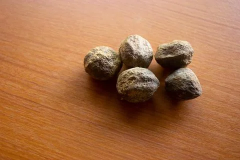 Candleberry tree placed on the table is brown Stock Photos