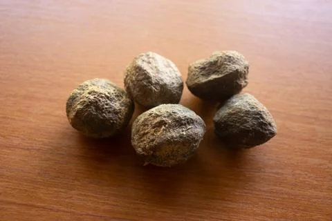 Candleberry tree placed on the table is brown Stock Photos