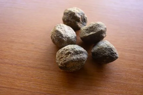 Candleberry tree placed on the table is brown Foto stock