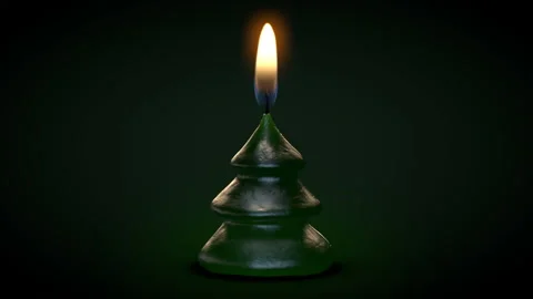 CandleFir-001 Stock Footage 98178077