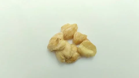 Candlenut (Aleurites moluccanus) on white background Stock Footage 312017089