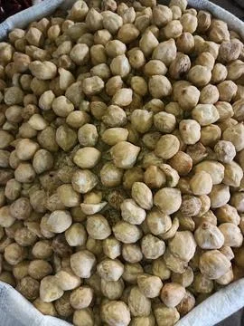 Candlenut seeds Stock Photos
