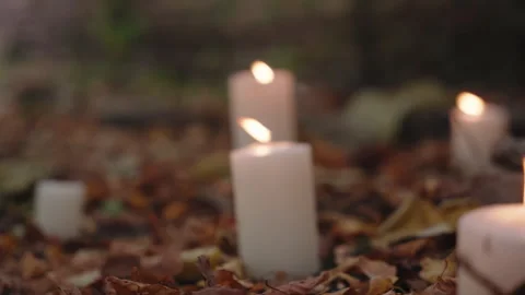 Candles are placed outside in the forest near yellow leaves. Moving camera with Stock Footage 256082302