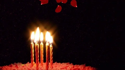 Candles on Cake and Falling Rose Petals Stock Footage 68036245