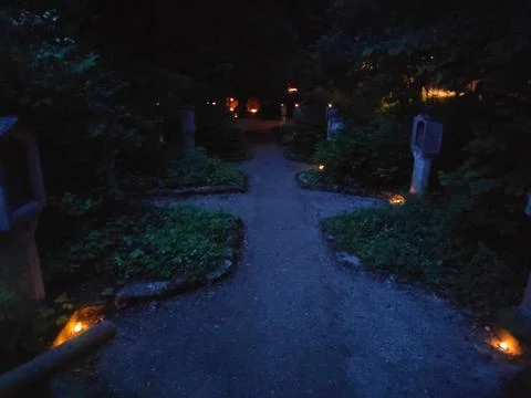Candles in a Dark Forest Stock-Fotos