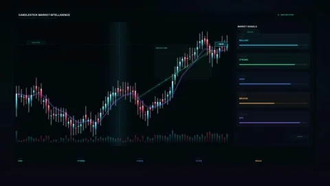 Candlestick Market Intelligence Dashboard Showing Financial Stock Trading Charts Stock Footage 344513935
