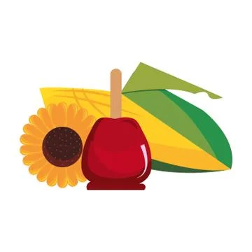 Candy apple corn cob and sunflower Stock Illustration