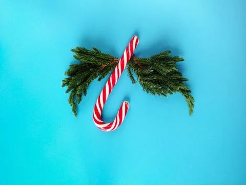 Candy cane with juniper twigs wings. minimalistic christmas concept Stock Photos