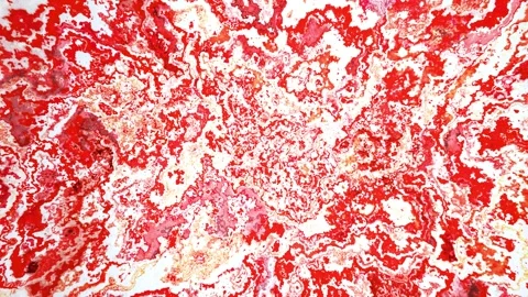 Candy Cane Peppermint Abstract Liquid Explosion 4K Loop Stock Footage 289326076