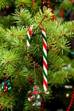 Candy cane Stock Photos