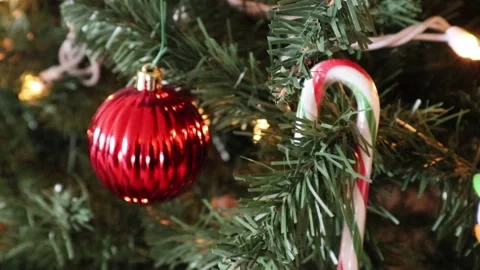 Candy Cane Placed onto Christmas Tree Real Time Motion Stock Footage 145875574