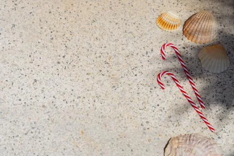 Candy canes and seashells on textured background under palm shadows. Merry Ch Stock Photos