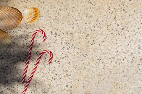 Candy canes and seashells on textured background under palm shadows. Merry Ch Stock Photos