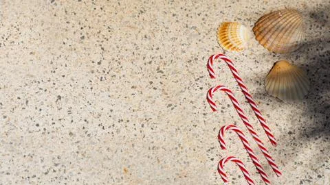 Candy canes and seashells under palm shadows. Merry Christmas and Happy New Y Stock Photos