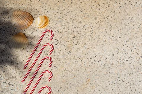 Candy canes and seashells under palm shadows. Merry Christmas and Happy New Y Stock Photos