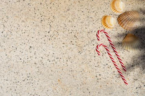 Candy canes and seashells under palm shadows. Merry Christmas and Happy New Y Stock Photos