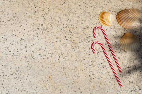 Candy canes and seashells under palm shadows. Merry Christmas and Happy New Y Stock Photos