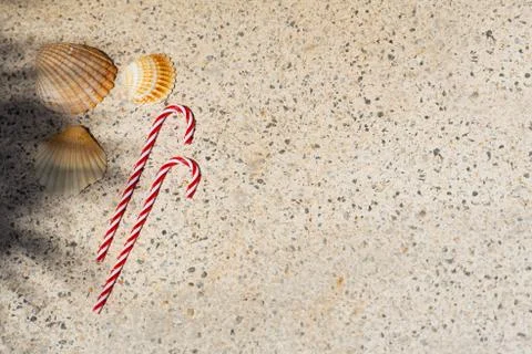 Candy canes and seashells under palm shadows. Merry Christmas and Happy New Y Stock Photos