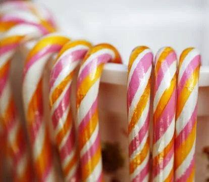 Candy canes Stock Photos