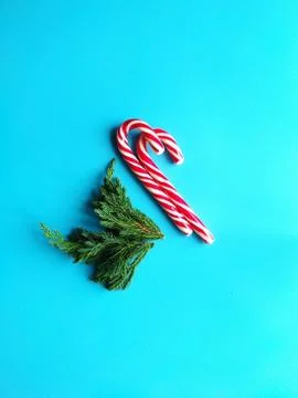 Candy canes with small juniper branches. minimalistic christmas concept Stock Photos