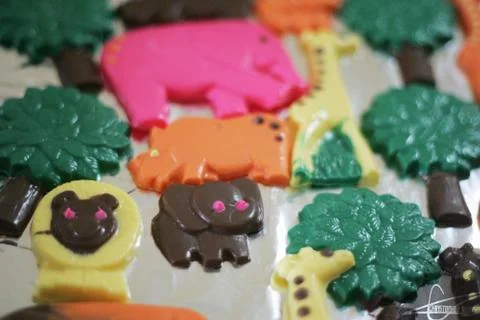 Candy Chocolates 写真素材